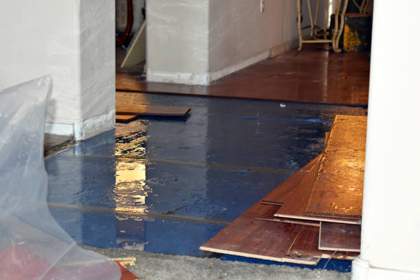Professional Crawl Space Water Removal technician working in Davenport, ND